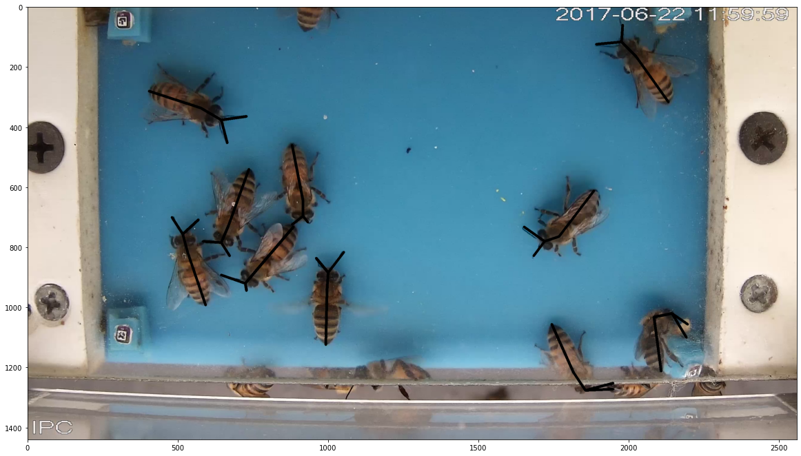 _images/video_example_27_0.png