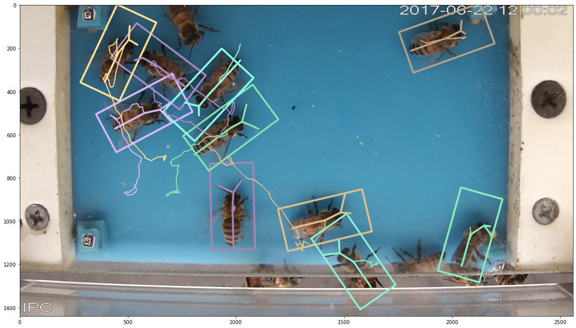 _images/video_example_41_0.png