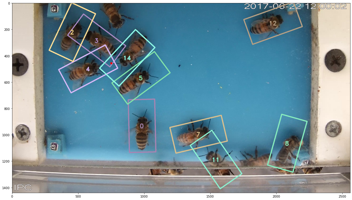 _images/video_example_43_0.png